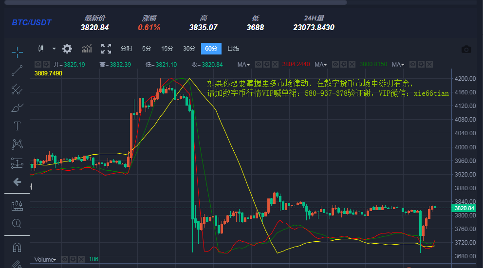 T币最新动态，数字货币发展趋势探索