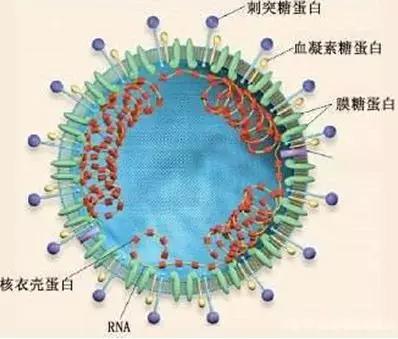 公司画册 第6页